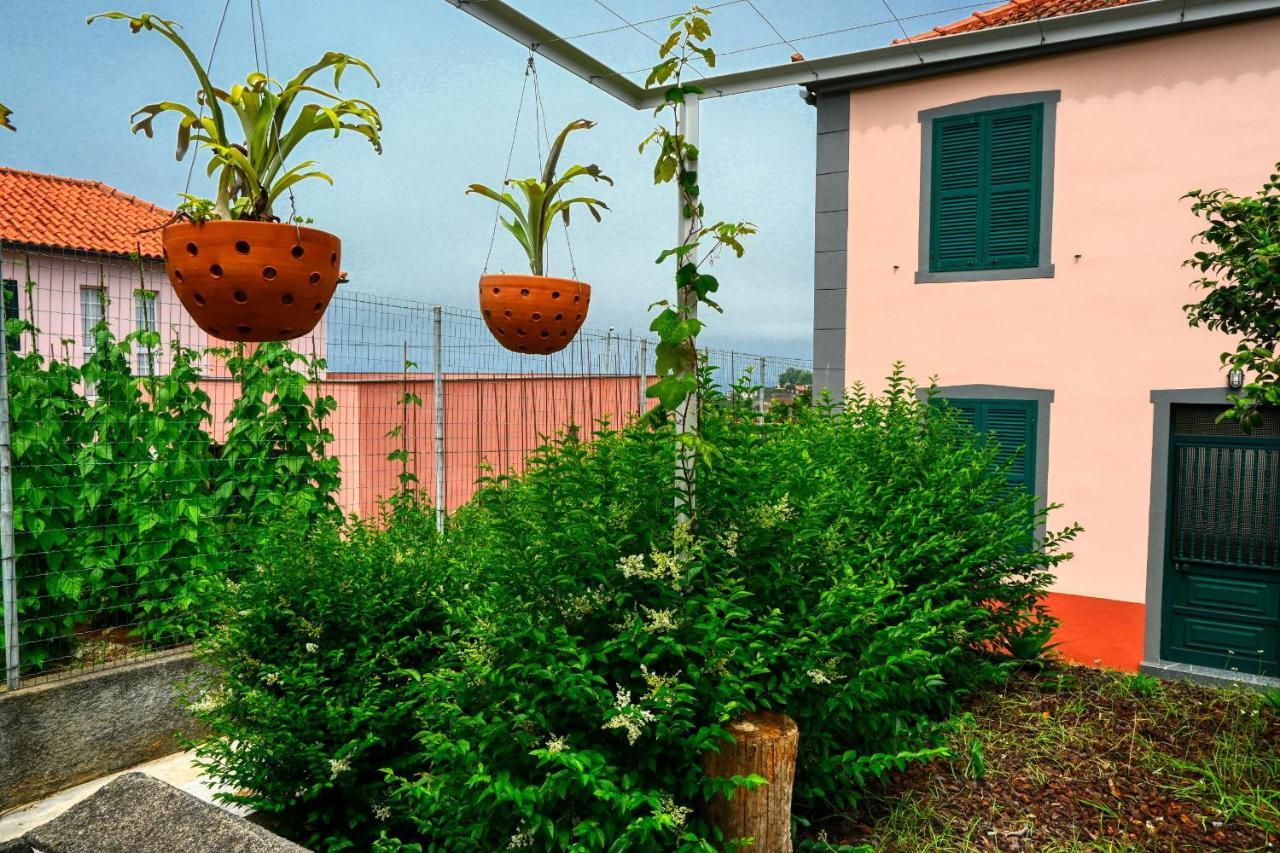 Os Ferreirinhos, A Home In Madeira São Jorge Exterior foto